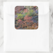 Herbstfarben rund um quadratischer aufkleber (Tasche)