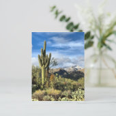 Herbstfarben Saguaro Sabino Canyon Postkarte (Stehend Vorderseite)