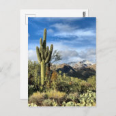 Herbstfarben Saguaro Sabino Canyon Postkarte (Vorne/Hinten)