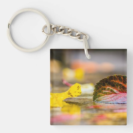Herbstfarben Schlüsselanhänger (Vorderseite)
