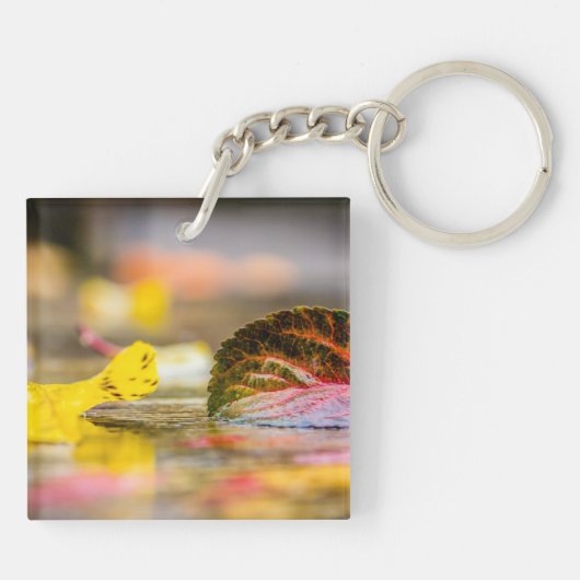 Herbstfarben Schlüsselanhänger (Rückseite)