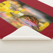 Herbstfarben Sherpadecke (3/4)