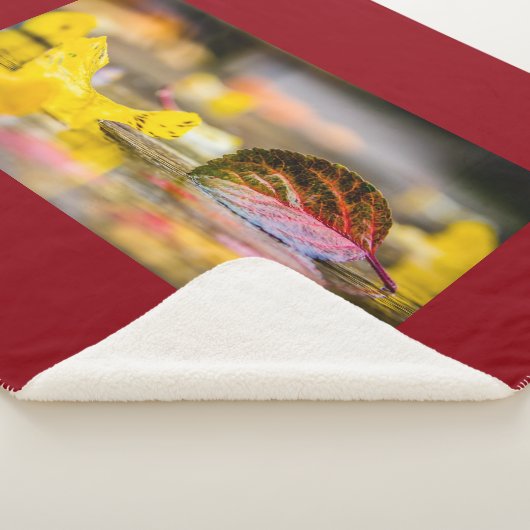 Herbstfarben Sherpadecke (3/4)