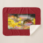 Herbstfarben Sherpadecke (Vorderseite (Horizontal))