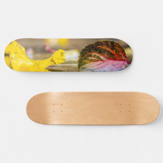 Herbstfarben Skateboard (Horizontal)