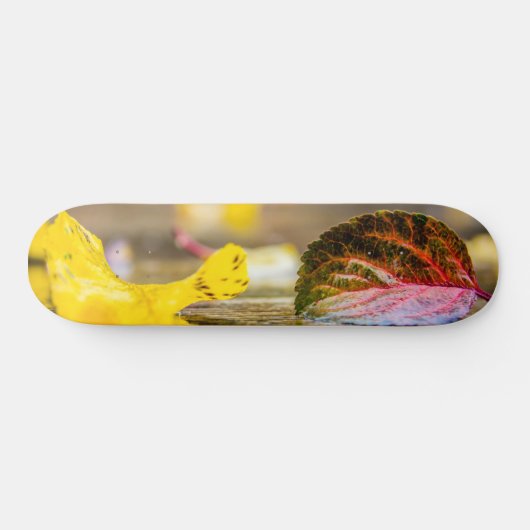 Herbstfarben Skateboard (Horizontal)