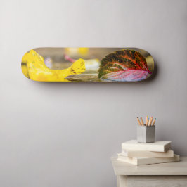 Herbstfarben Skateboard