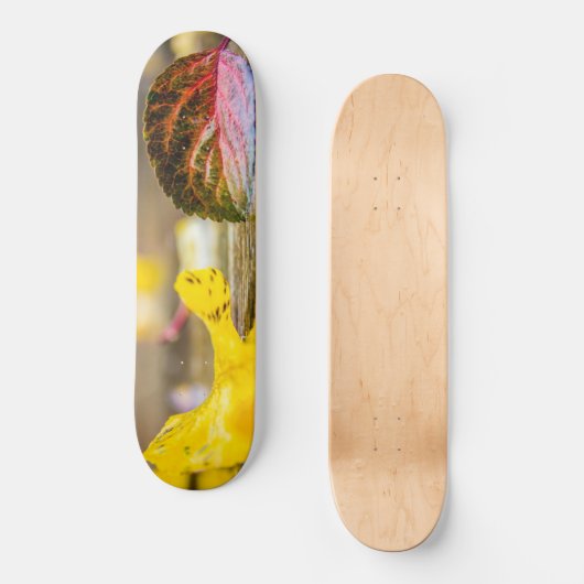 Herbstfarben Skateboard (Vorderseite)