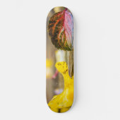 Herbstfarben Skateboard (Vorderseite)