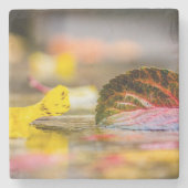 Herbstfarben Steinuntersetzer (Vorderseite)