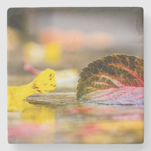 Herbstfarben Steinuntersetzer (Vorderseite)