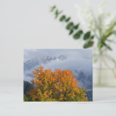 Herbstfarben und Berge Postkarte (Stehend Vorderseite)