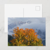 Herbstfarben und Berge Postkarte (Vorne/Hinten)
