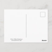 Herbstfarben und Berge Postkarte (Rückseite)
