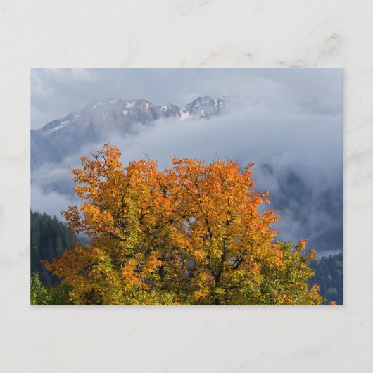 Herbstfarben und Berge Postkarte (Vorderseite)