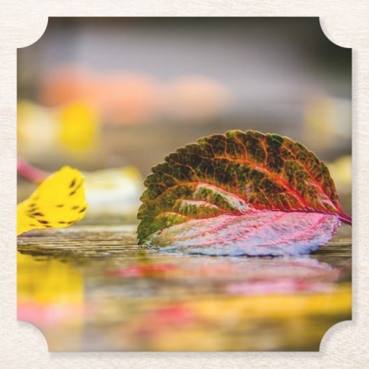 Herbstfarben Untersetzer (Vorderseite)