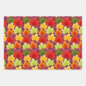 Herbstfarben Verlasse Wrapping Paper Set von 3 Geschenkpapier Set (Vorderseite)