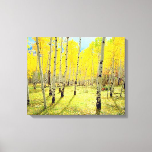 Herbstfarben von Aspen 4 Leinwanddruck (Vorderseite)