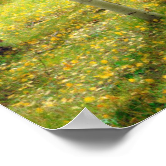 Herbstfarben von Aspen 4 Poster (Ecke)