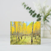 Herbstfarben von Aspen 4 Postkarte (Stehend Vorderseite)