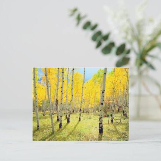 Herbstfarben von Aspen 4 Postkarte (Stehend Vorderseite)