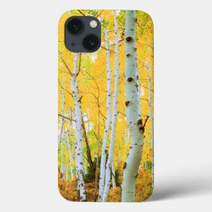 Herbstfarben von Aspen-Bäumen 1 Case-Mate iPhone Hülle