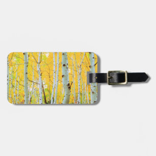 Herbstfarben von Aspen-Bäumen 1 Gepäckanhänger