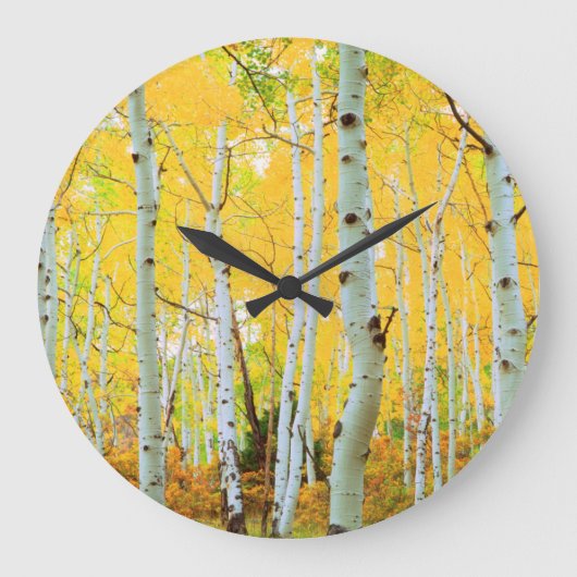 Herbstfarben von Aspen-Bäumen 1 Große Wanduhr (Vorderseite)