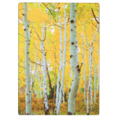 Herbstfarben von Aspen-Bäumen 1 Klemmbrett (Rückseite)