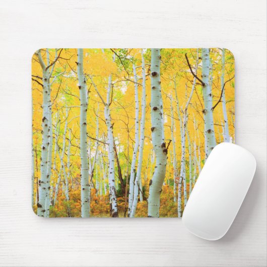 Herbstfarben von Aspen-Bäumen 1 Mousepad (Mit Mouse)