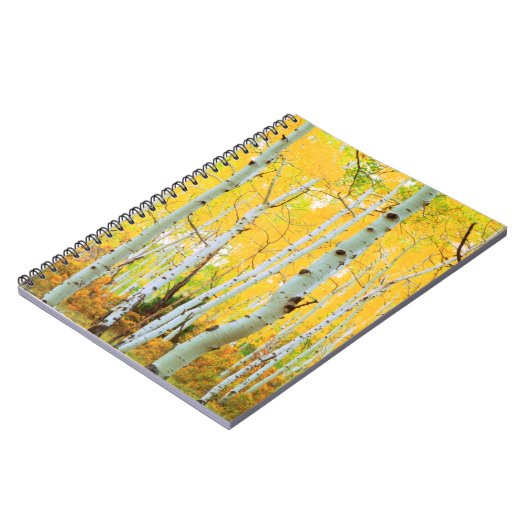Herbstfarben von Aspen-Bäumen 1 Notizblock (Linke Seite)