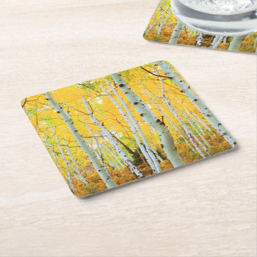 Herbstfarben von Aspen-Bäumen 1 Rechteckiger Pappuntersetzer (angewinkelt)