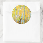 Herbstfarben von Aspen-Bäumen 1 Runder Aufkleber (Tasche)
