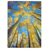 Herbstfarben von Aspen-Bäumen 2 Klemmbrett (Rückseite)