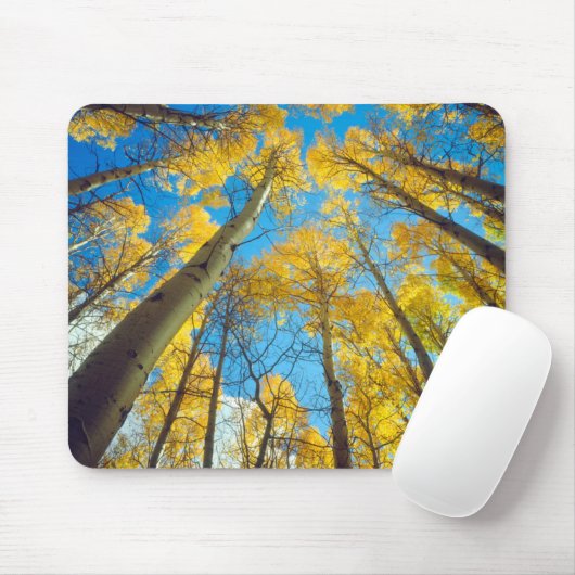 Herbstfarben von Aspen-Bäumen 2 Mousepad (Mit Mouse)