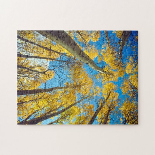 Herbstfarben von Aspen-Bäumen 2 Puzzle (Horizontal)