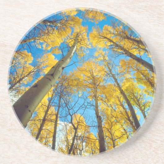 Herbstfarben von Aspen-Bäumen 2 Sandstein Untersetzer (Vorne)