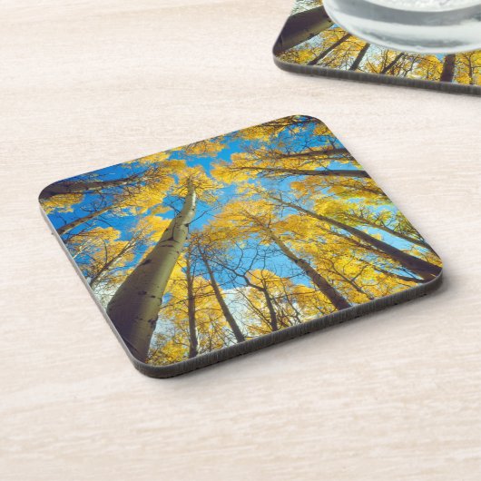 Herbstfarben von Aspen-Bäumen 2 Untersetzer (Linke Seite)
