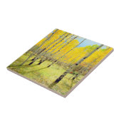 Herbstfarben von Aspen-Bäumen 4 Fliese (Seite)