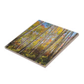 Herbstfarben von Aspen-Bäumen 5 Fliese (Seite)