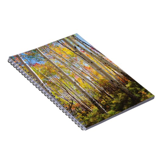 Herbstfarben von Aspen-Bäumen 5 Notizblock (Rechte Seite)