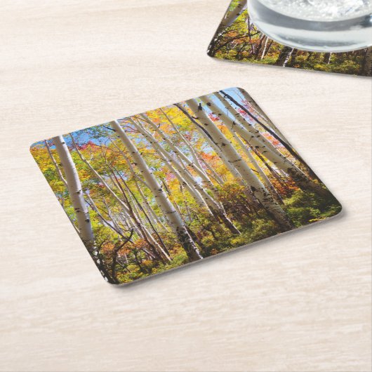 Herbstfarben von Aspen-Bäumen 5 Rechteckiger Pappuntersetzer (angewinkelt)