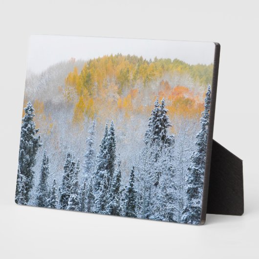 Herbstfarben von Aspens & Fresh Snow Keebler Pass Fotoplatte (Seite)