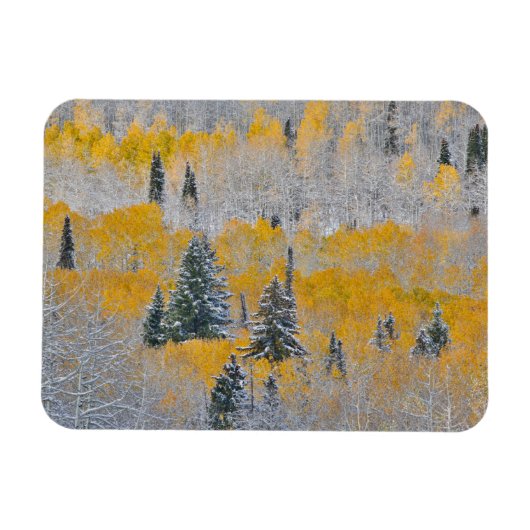 Herbstfarben von Aspens & Fresh Snow Keebler Pass Magnet (Horizontal)