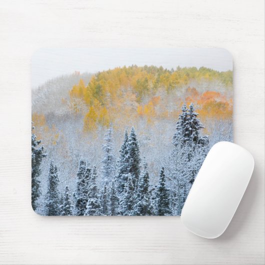 Herbstfarben von Aspens & Fresh Snow Keebler Pass Mousepad (Mit Mouse)
