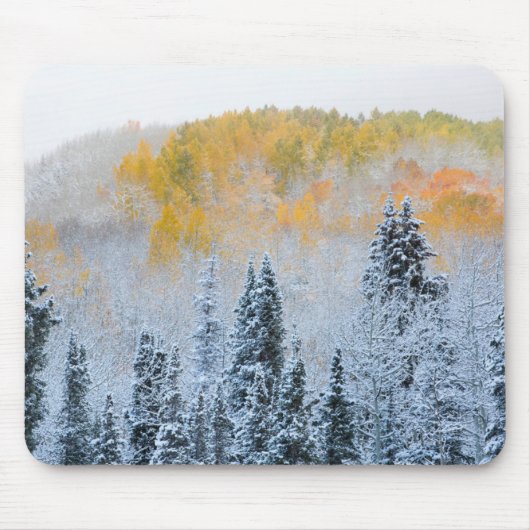 Herbstfarben von Aspens & Fresh Snow Keebler Pass Mousepad (Vorne)