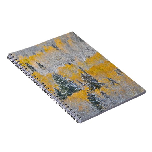 Herbstfarben von Aspens & Fresh Snow Keebler Pass Notizblock (Rechte Seite)