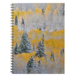 Herbstfarben von Aspens & Fresh Snow Keebler Pass Notizblock