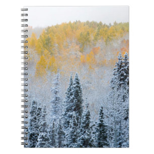 Herbstfarben von Aspens & Fresh Snow Keebler Pass Notizblock