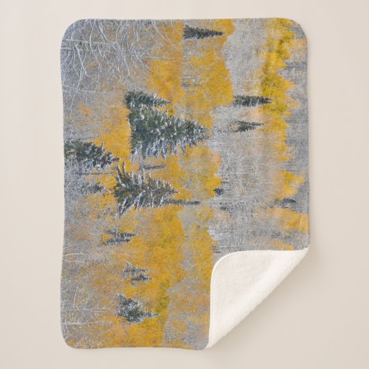 Herbstfarben von Aspens & Fresh Snow Keebler Pass Sherpadecke (Vorderseite)